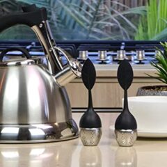 Stainless Steel Tea Kettle