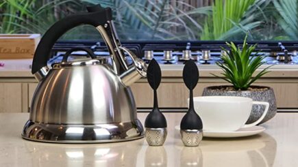 Stainless Steel Tea Kettle