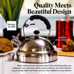 Stainless Steel Tea Kettle