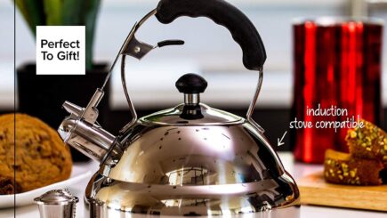 Stainless Steel Tea Kettle