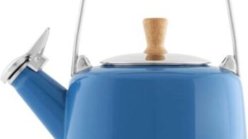 Chantal stainless steel kettle