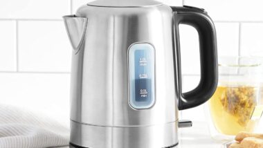 Electric Stainless Steel Tea Kettle