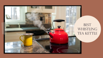 Best Whistling Tea Kettle
