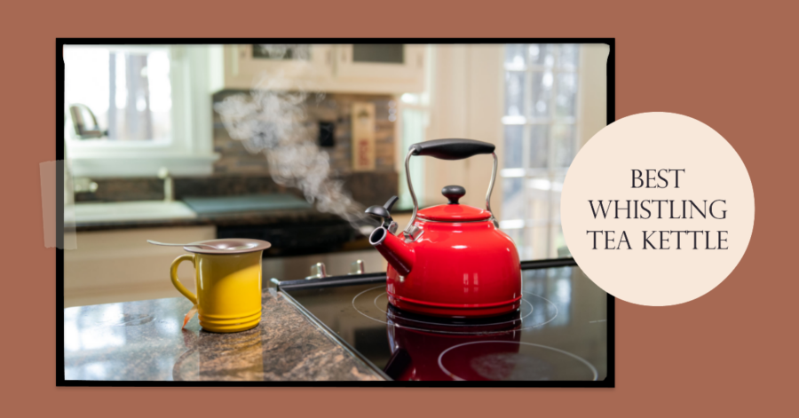 Best Whistling Tea Kettle