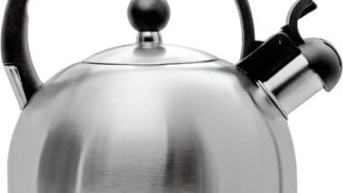 2.5 Liter Whistling Tea Kettle