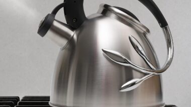 everyday-solutions-whistling-tea-kettle-review