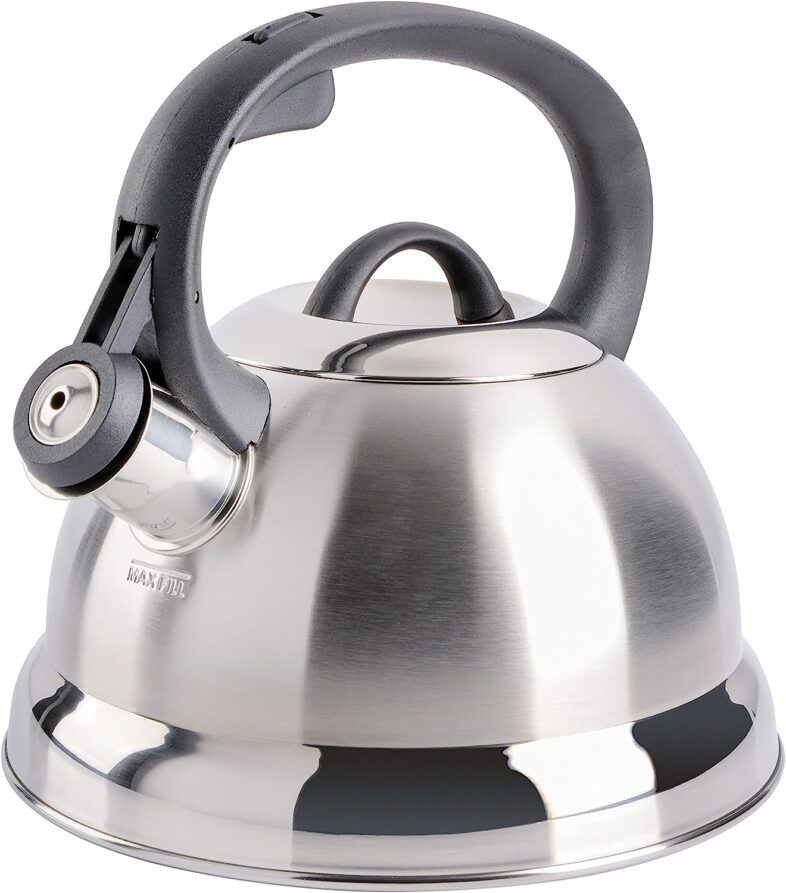 mr-coffee-whistling-tea-kettle-review