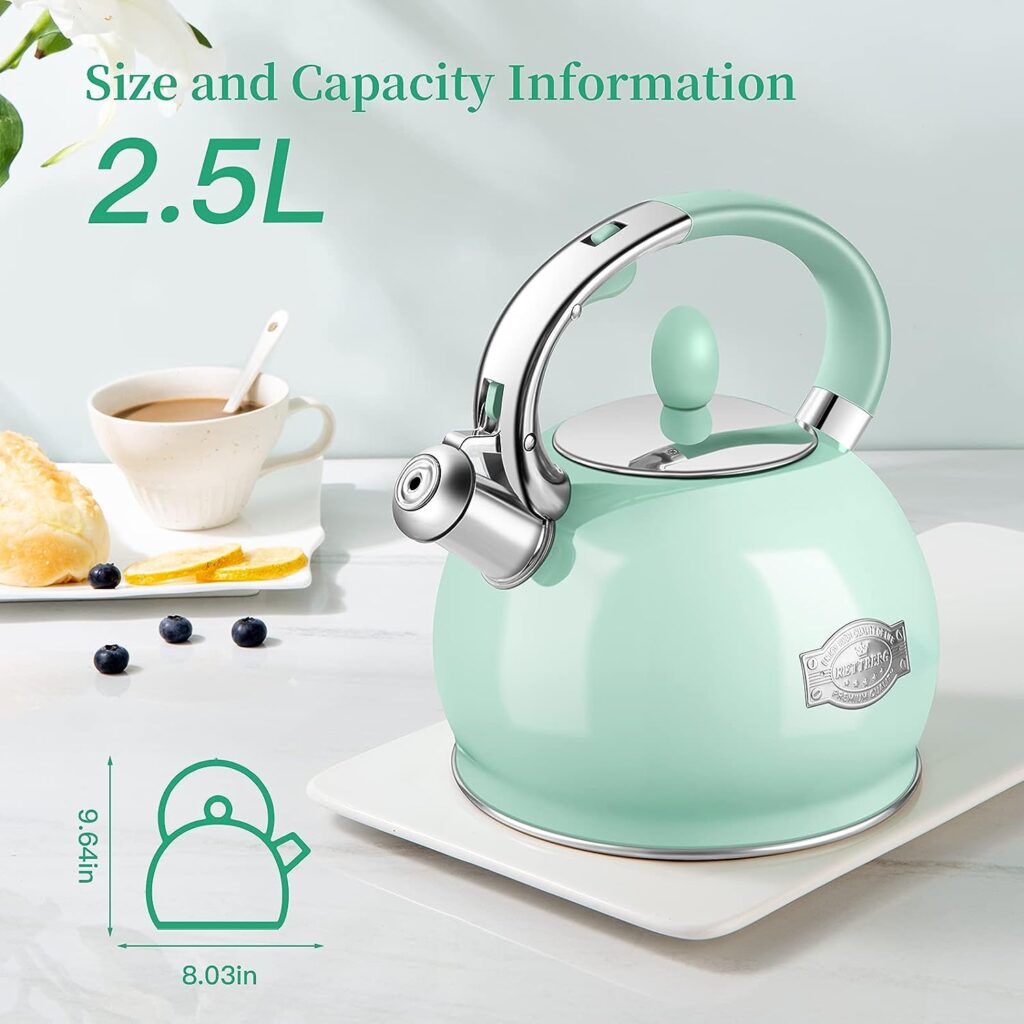 RETTBERG Tea Kettle for Stovetop Whistling Tea Kettles Retro Red Stainless Steel Teapots, 2.64 Quart (Mint Green)