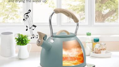 whistling-stovetop-tea-kettle-review