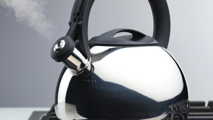 Stainless Steel Whistling Tea Kettles: 2024