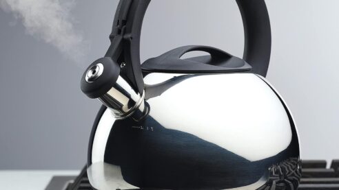 Stainless Steel Whistling Tea Kettles: 2024