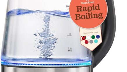 Best Glass Electric Tea Kettle