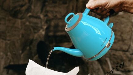 Electric Gooseneck Kettle
