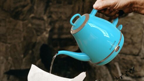 Electric Gooseneck Kettle