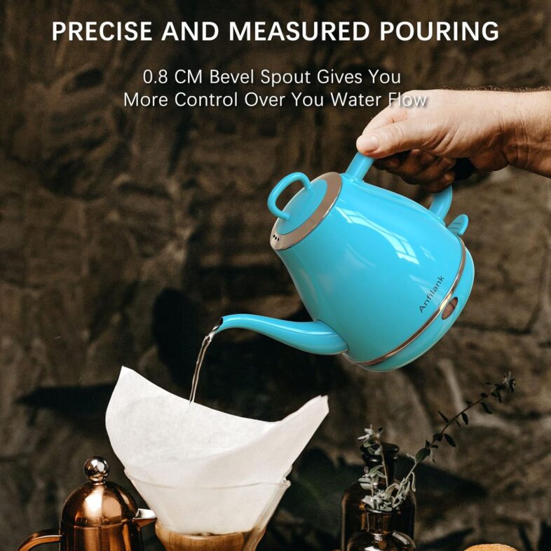 Electric Gooseneck Kettle