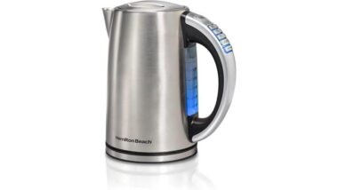 electric kettle temperature control