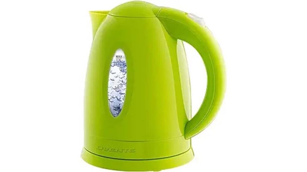 NOVENTE Electric Kettle review