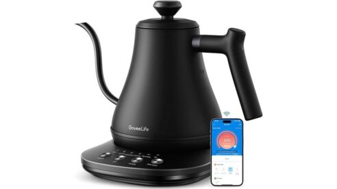 GoveeLife Smart Electric Kettle Review