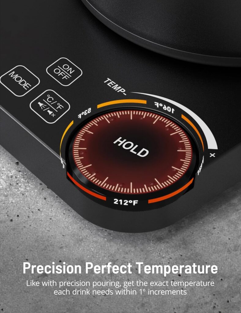 Best Electric Kettle Temperature Control