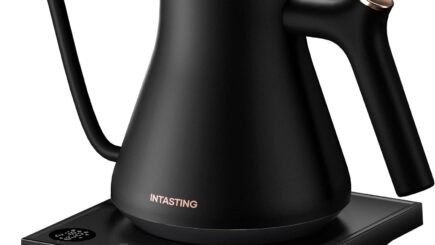 Largest Gooseneck Kettle