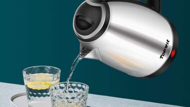 TOPWIT Electric Kettle