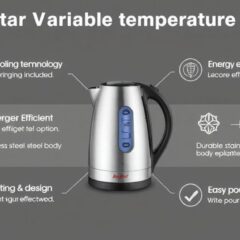 variable temperature electric kettle