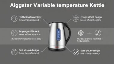 variable temperature electric kettle