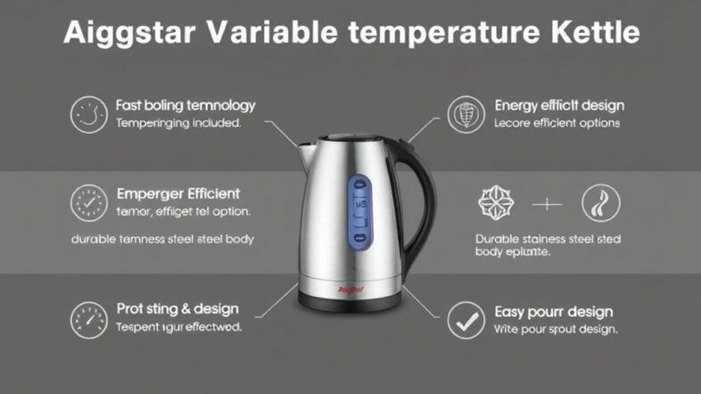 variable temperature electric kettle