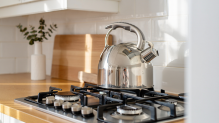 Stainless Steel Kettle