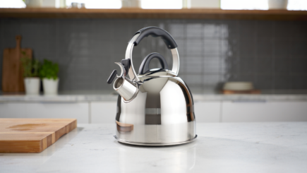 Best Whistling Kettles