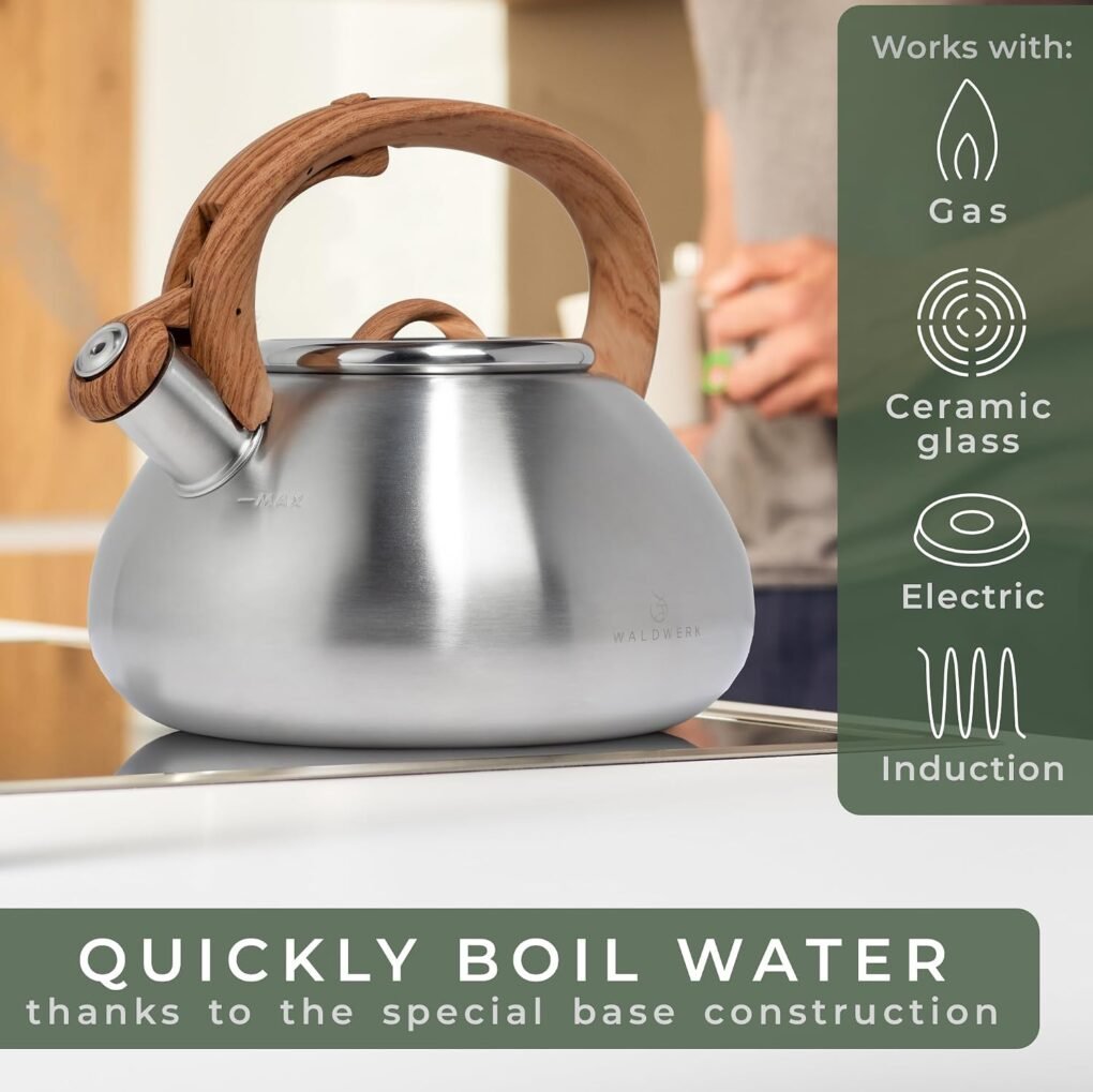 Best Whistling Stainless Steel Kettles for Gas Stoves