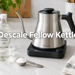 Descale Fellow Kettle